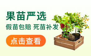 果园热销